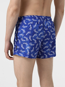 Шорты для плавания Zegna модель UN314753_0 Фото