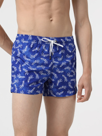 Шорты для плавания Zegna модель UN314753_0 Фото