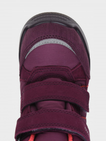 Ботинки ECCO Urban Mini модель 75472151617 Фото