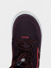 Сапоги ECCO URBAN SNOWBOARDER модель 72231251641 Фото