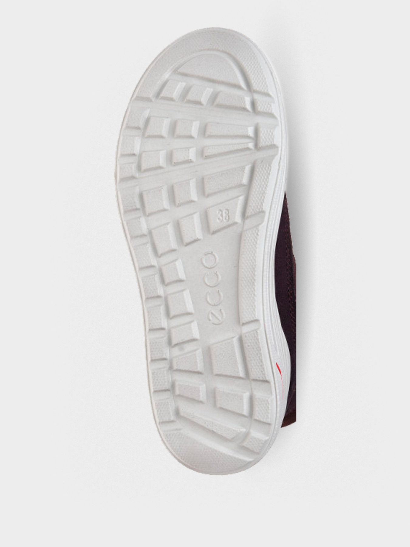 Сапоги ECCO URBAN SNOWBOARDER модель 72231351641 Фото