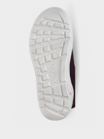 Сапоги ECCO URBAN SNOWBOARDER модель 72231351641 Фото