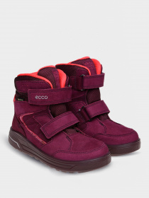 Ботинки ECCO URBAN SNOWBOARDER модель 72223251521 Фото