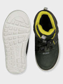 Сапоги ECCO URBAN SNOWBOARDER модель 72231251640 Фото