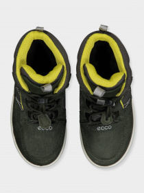 Сапоги ECCO URBAN SNOWBOARDER модель 72231251640 Фото