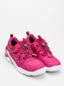 Полуботинки ECCO Biom Vojage модель 70654301293 Фото