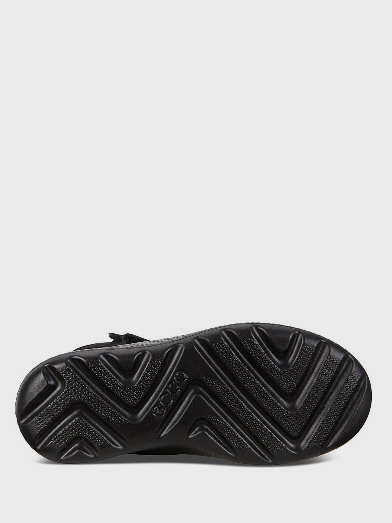 Сапоги ECCO Ukiuk модель 72375251052 Фото