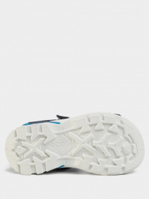 Сандалии ECCO BIOM RAFT модель 70064200303 Фото