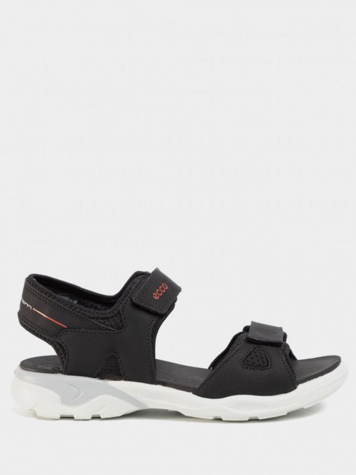 Сандалии ECCO BIOM RAFT модель 70064300001 Фото