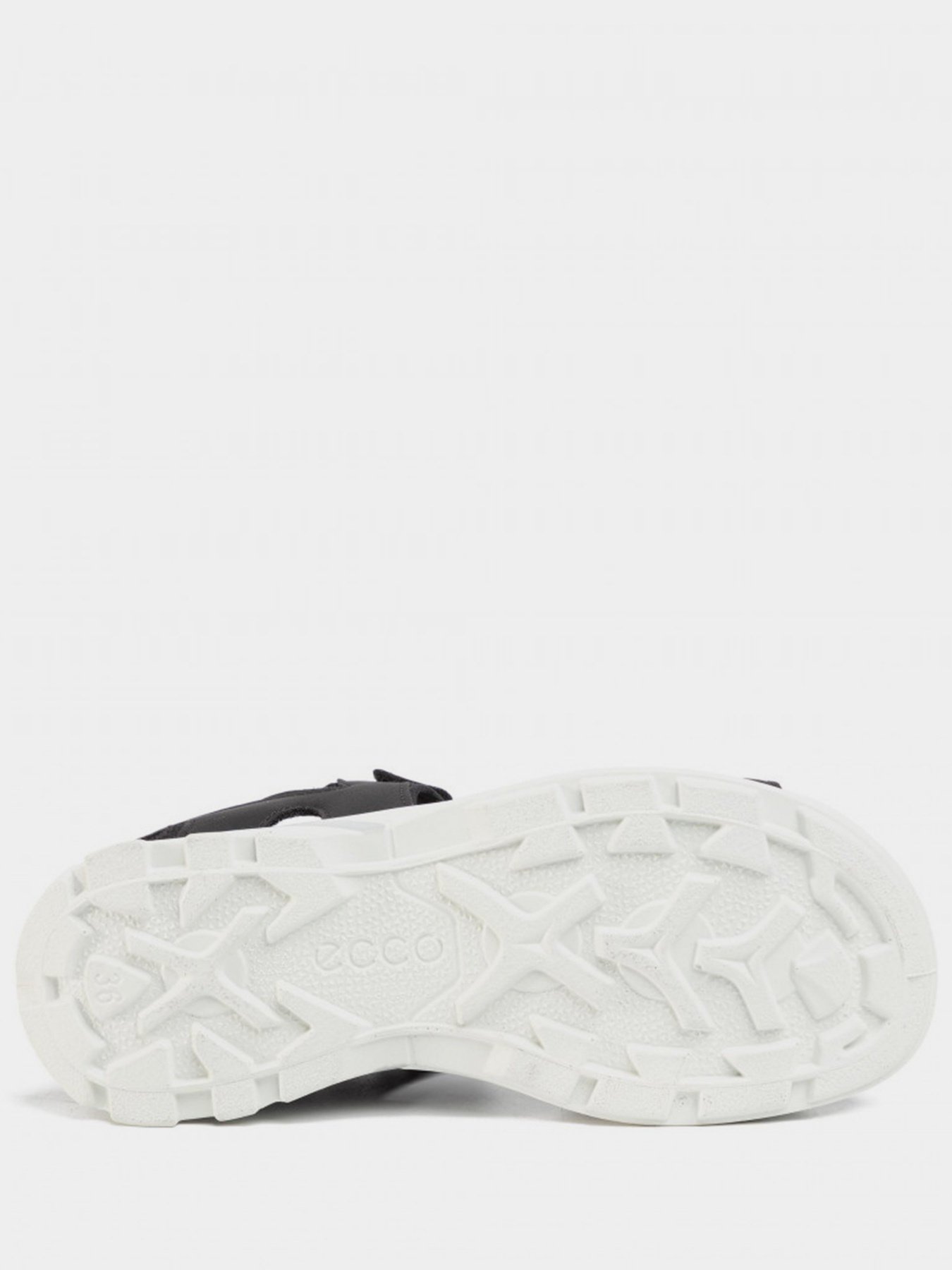 Сандалии ECCO BIOM RAFT модель 70064300001 Фото