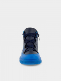 Ботинки ECCO Street Tray модель 70524260202 Фото