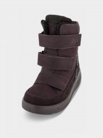 Ботинки ECCO Blue Urban Sno модель 72233251504 Фото