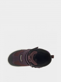 Черевики ECCO Snow Mountain модель 71026351663 Фото