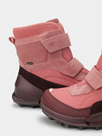 Ботинки ECCO Biom K2 модель 71120361043 Фото