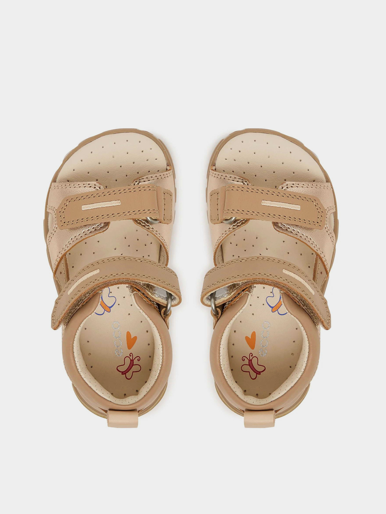 ECCO 76114161631 модель 76114161631 Фото