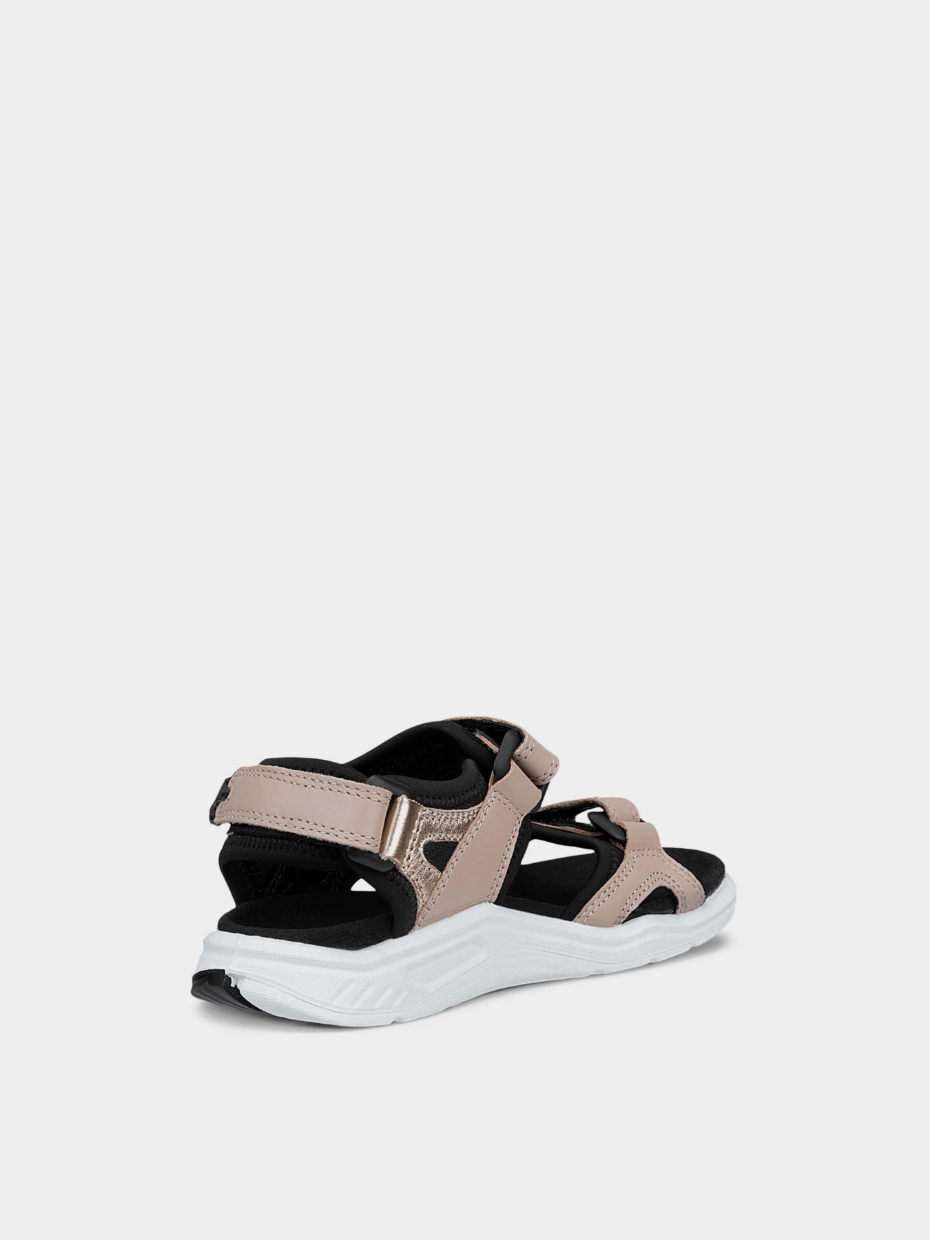 ECCO модель 71064261544 ECCO модель 71064261544 Фото