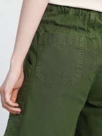 Повсякденні шорти Napapijri N-HONOLULU модель NP0A4F41G2C1 Фото