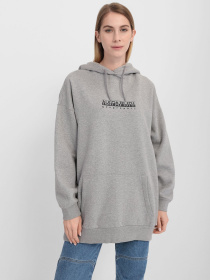 Худи Napapijri Box модель NP0A4FSG1601 Фото