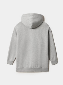 Худи Napapijri Box модель NP0A4FSG1601 Фото