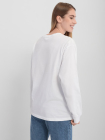 Лонгслив Napapijri Box модель NP0A4FSP0021 Фото