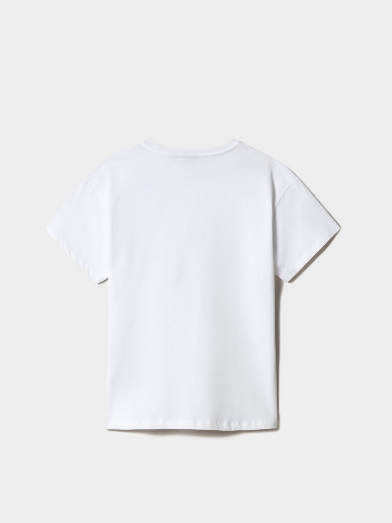 Футболки и поло Napapijri Salis модель NP0A4FSL0021 Фото