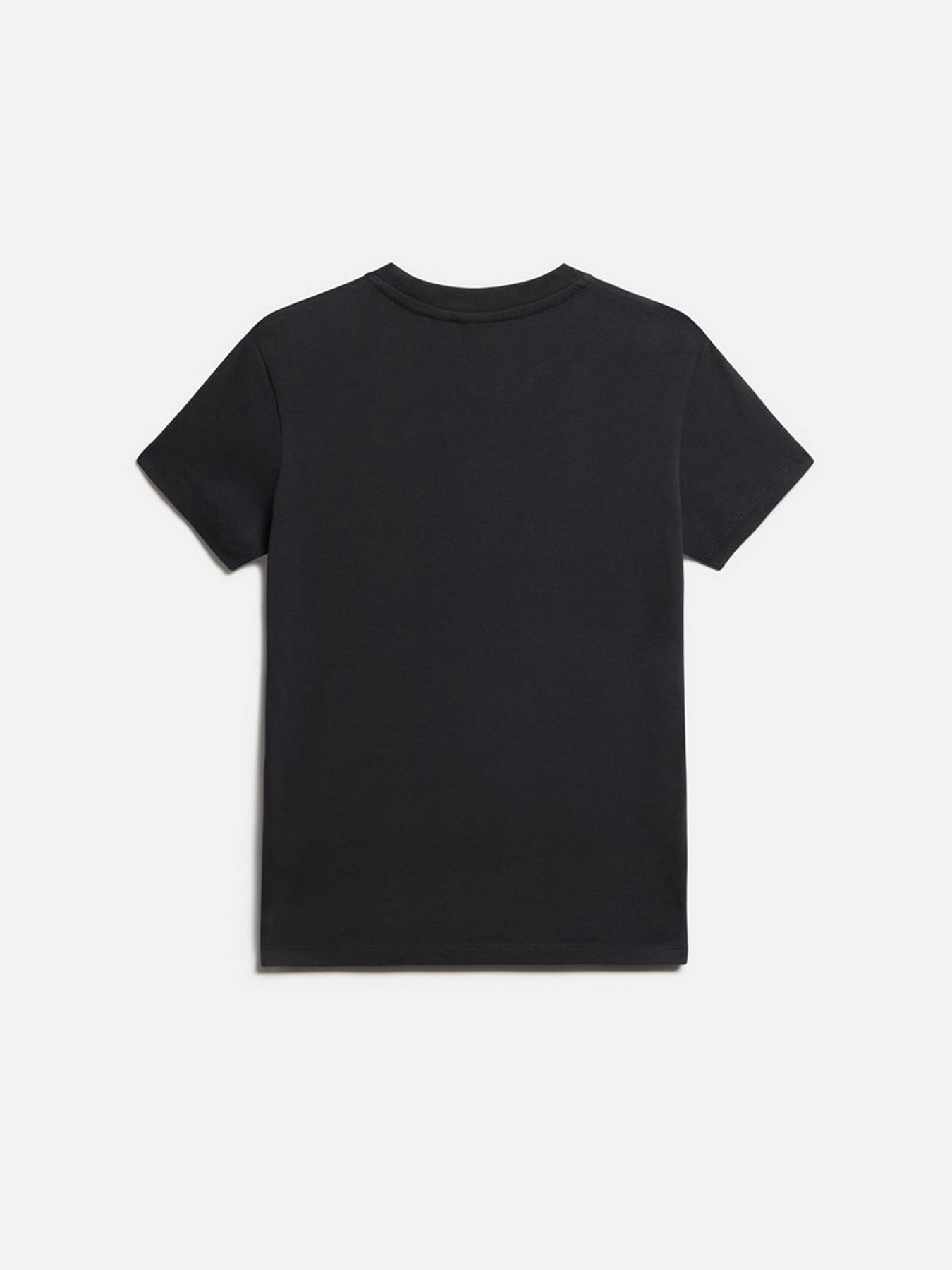 Футболка Napapijri Verres модель NP0A4G950411 Фото