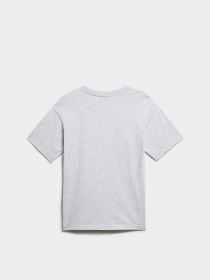 Футболка Napapijri Box модель NP0A4GDD7951 Фото