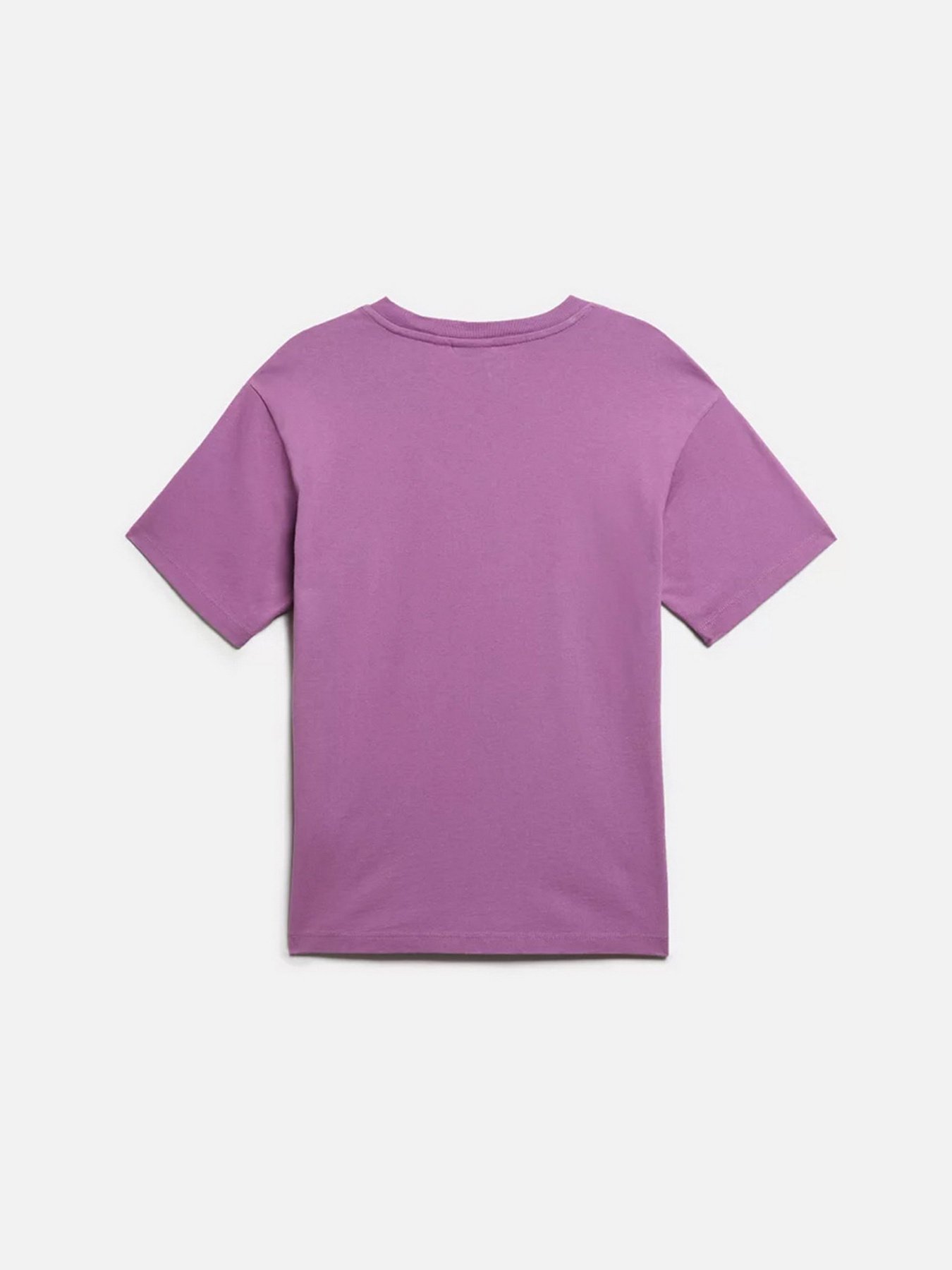 Футболки и поло Napapijri Box модель NP0A4GDDV1A1 Фото