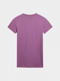 Футболка Napapijri Box модель NP0A4GDEV1A1 Фото