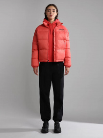 Зимняя куртка Napapijri Box модель NP0A4GKNPP31 Зимняя куртка Napapijri Box модель NP0A4GKNPP31 Фото