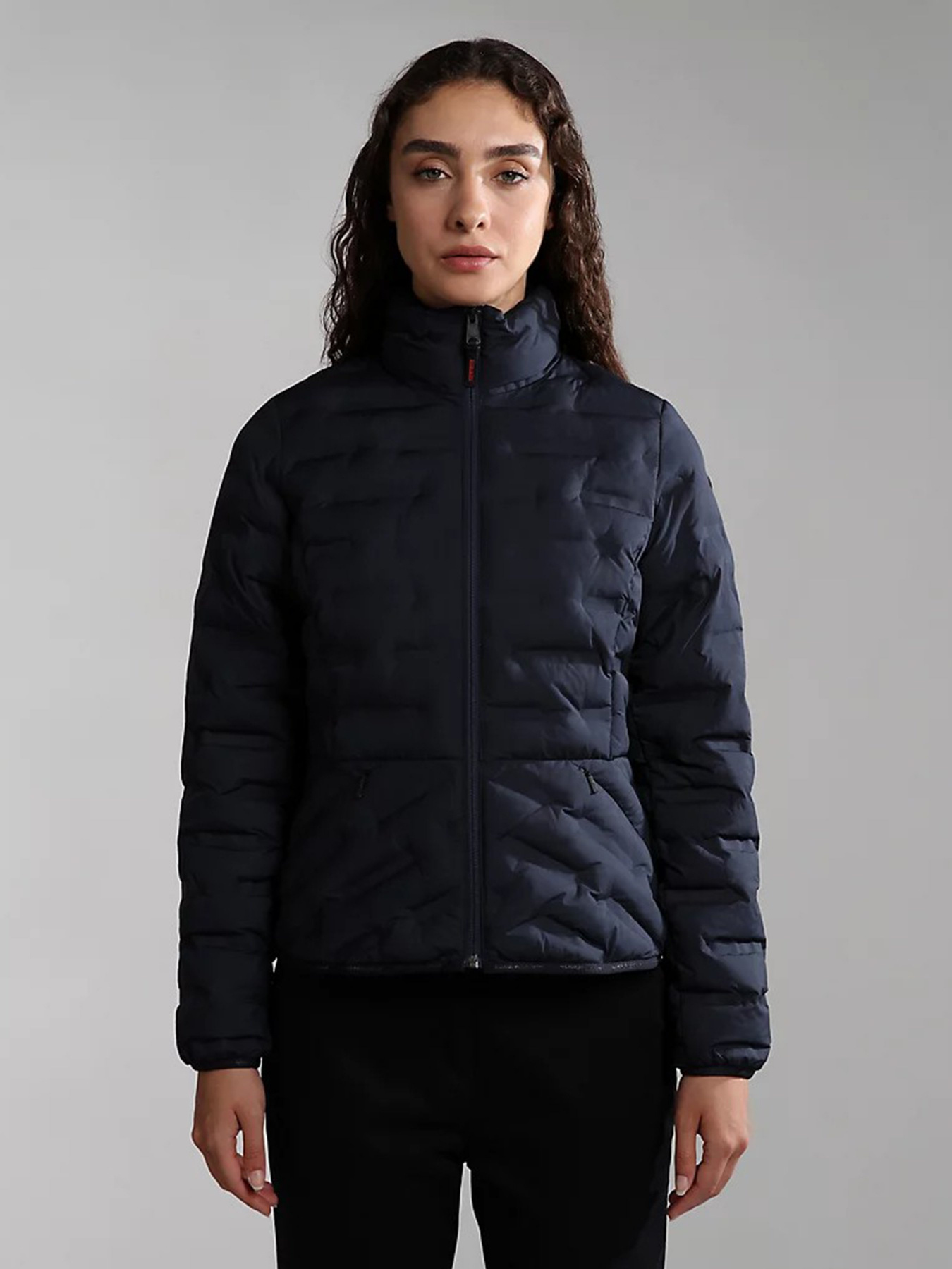 Демисезонная куртка Napapijri Alvar модель NP0A4GRE1761 Фото