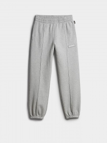 Штаны спортивные Napapijri Morgex модель NP0A4GKS1601 Фото