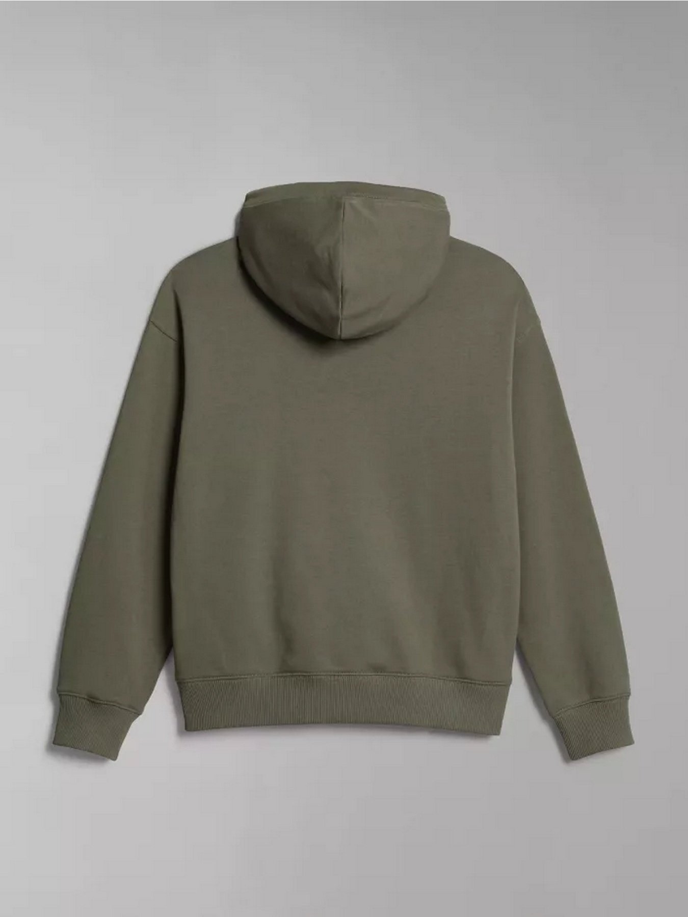 Худи Napapijri B-ORELLANA модель NP0A4GXQGAE1 Фото