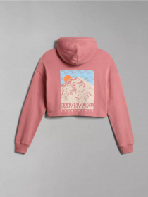 Худі Napapijri B-CENEPA модель NP0A4GXRPB11 Фото