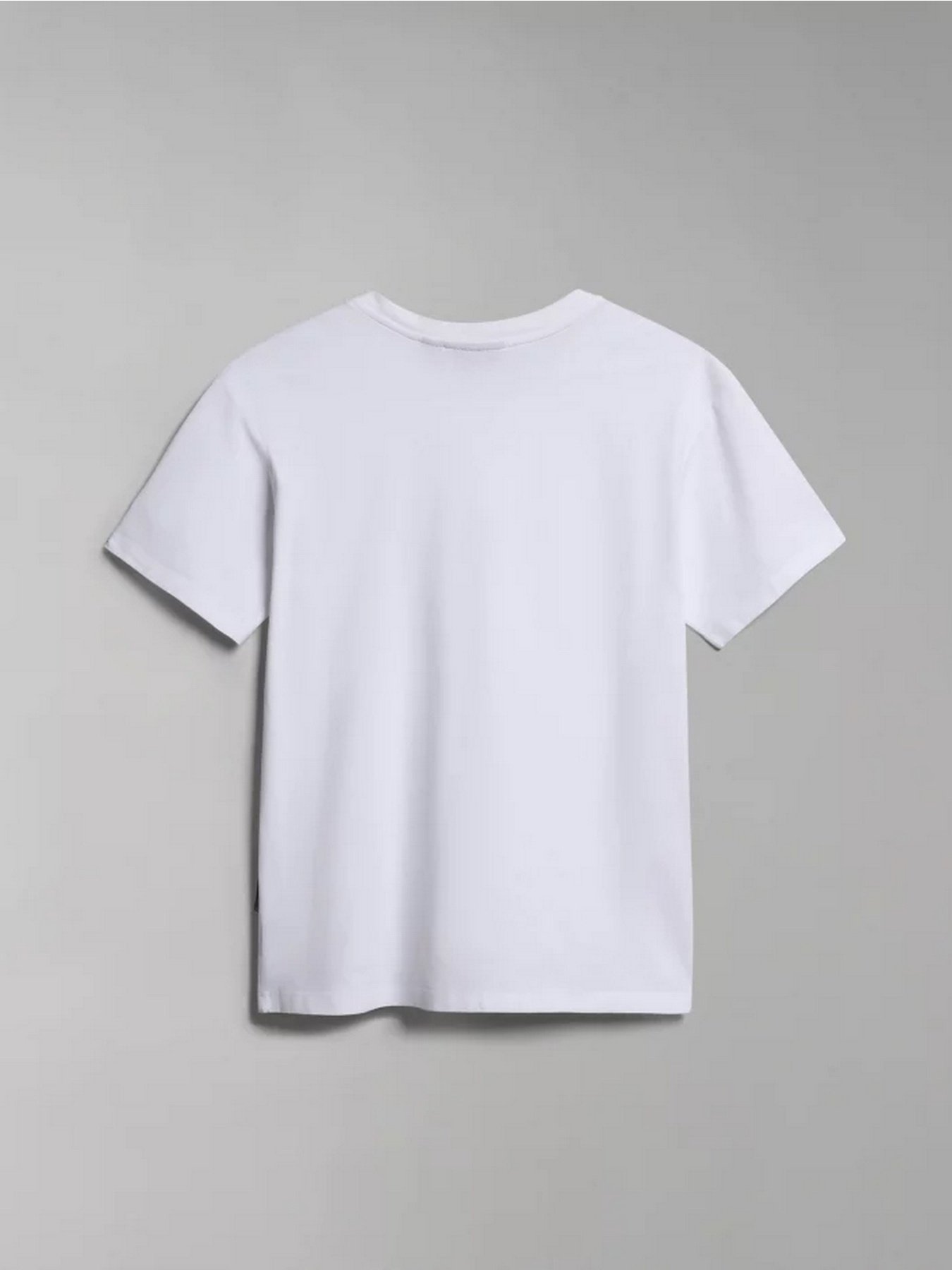 Футболка Napapijri Box модель NP0A4GDD0021 Фото