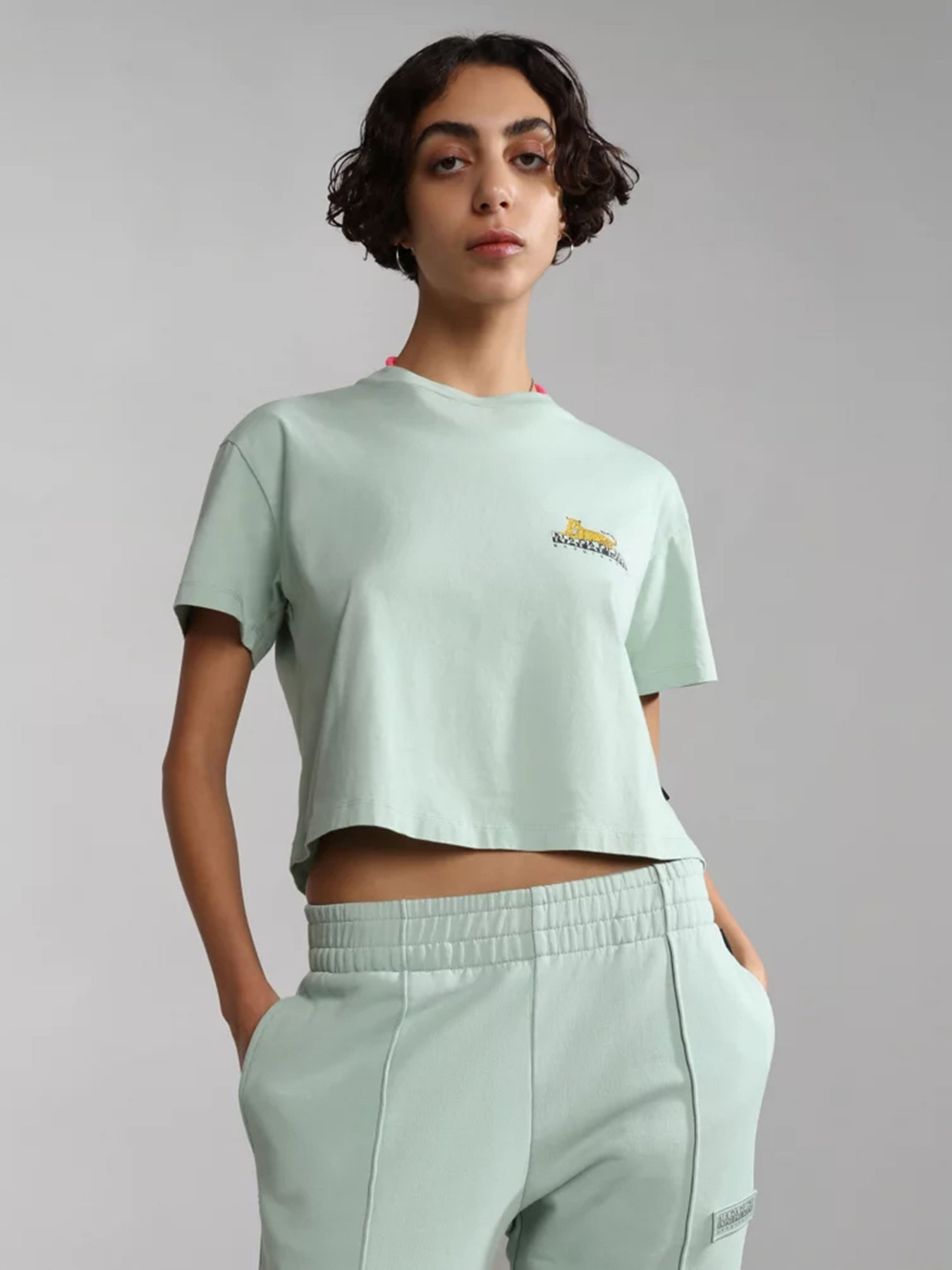 Футболка Napapijri S-CHIRA CROP SS W модель NP0A4GYOG1E1 Фото