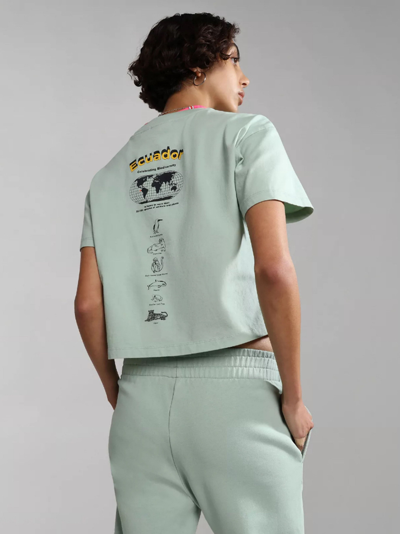 Футболка Napapijri S-CHIRA CROP SS W модель NP0A4GYOG1E1 Фото