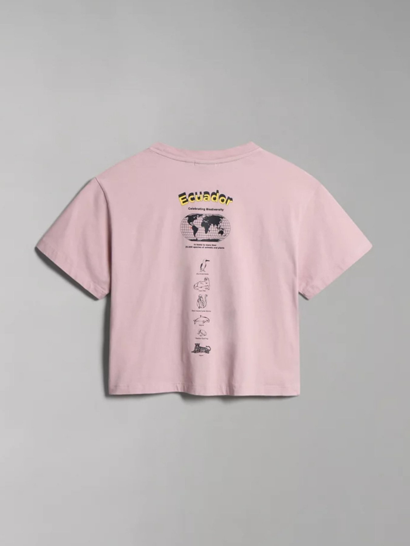 Футболка Napapijri S-CHIRA CROP SS W модель NP0A4GYOP891 Фото