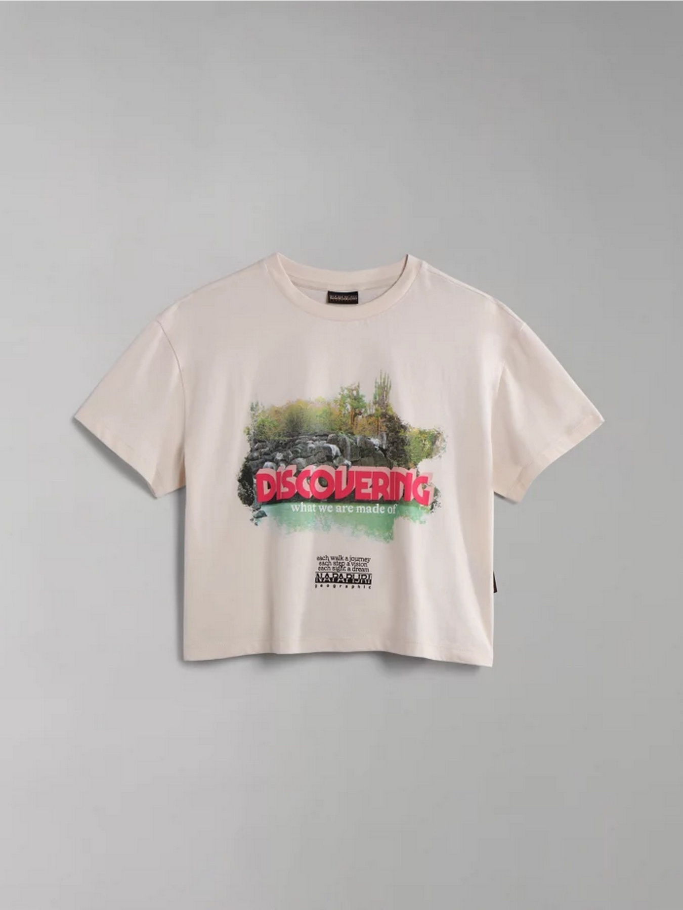 Футболка Napapijri Cenepe модель NP0A4GYSNS51 Фото