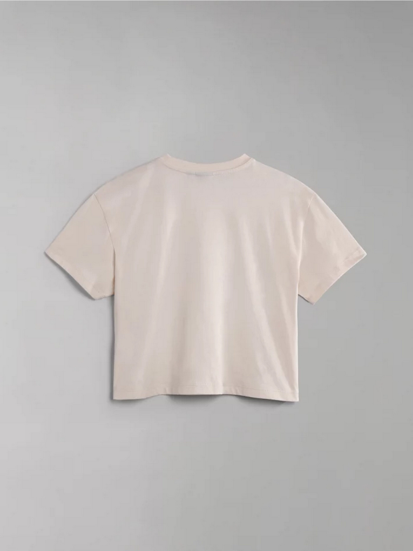 Футболка Napapijri Cenepe модель NP0A4GYSNS51 Фото