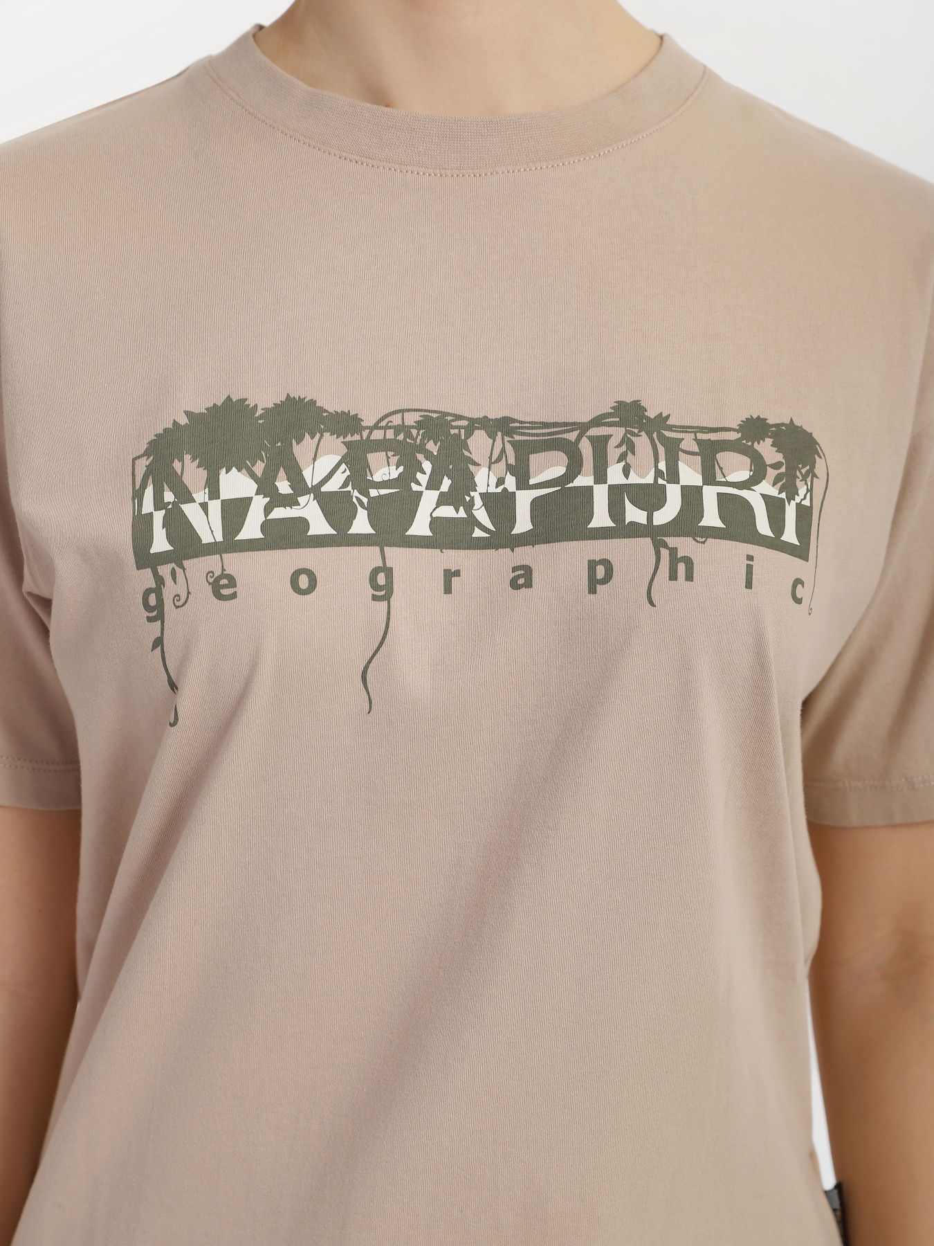 Футболка Napapijri Orellana модель NP0A4GYTNB71 Фото