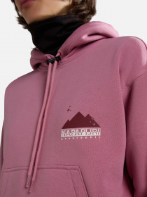 Худи Napapijri Rope модель NP0A4HRDP871 Фото