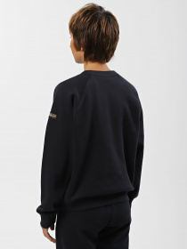 Світшот Napapijri Montalva модель NP0A4HBX0411 Фото