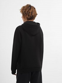 Худі Napapijri Iaato модель NP0A4HCA0411 Фото