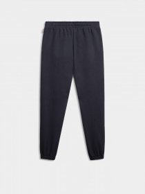 Штаны спортивные Napapijri Iaato Joggers модель NP0A4HD80411 Фото