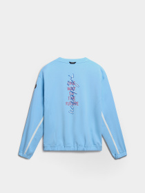 Свитшот Napapijri B-Kreis модель NP0A4HNZI791 Фото