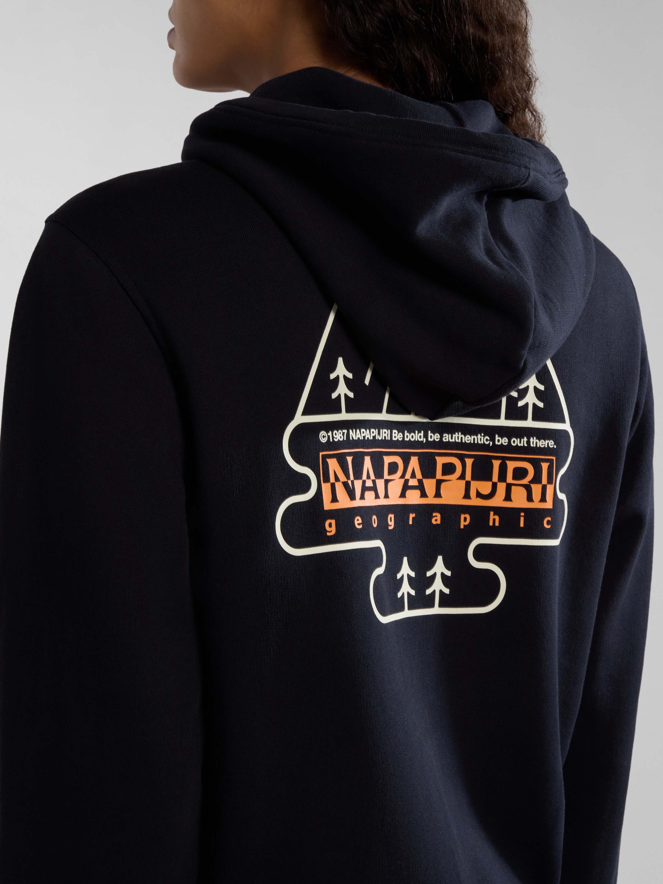 Худи Napapijri B-Faber модель NP0A4HO10411 Фото