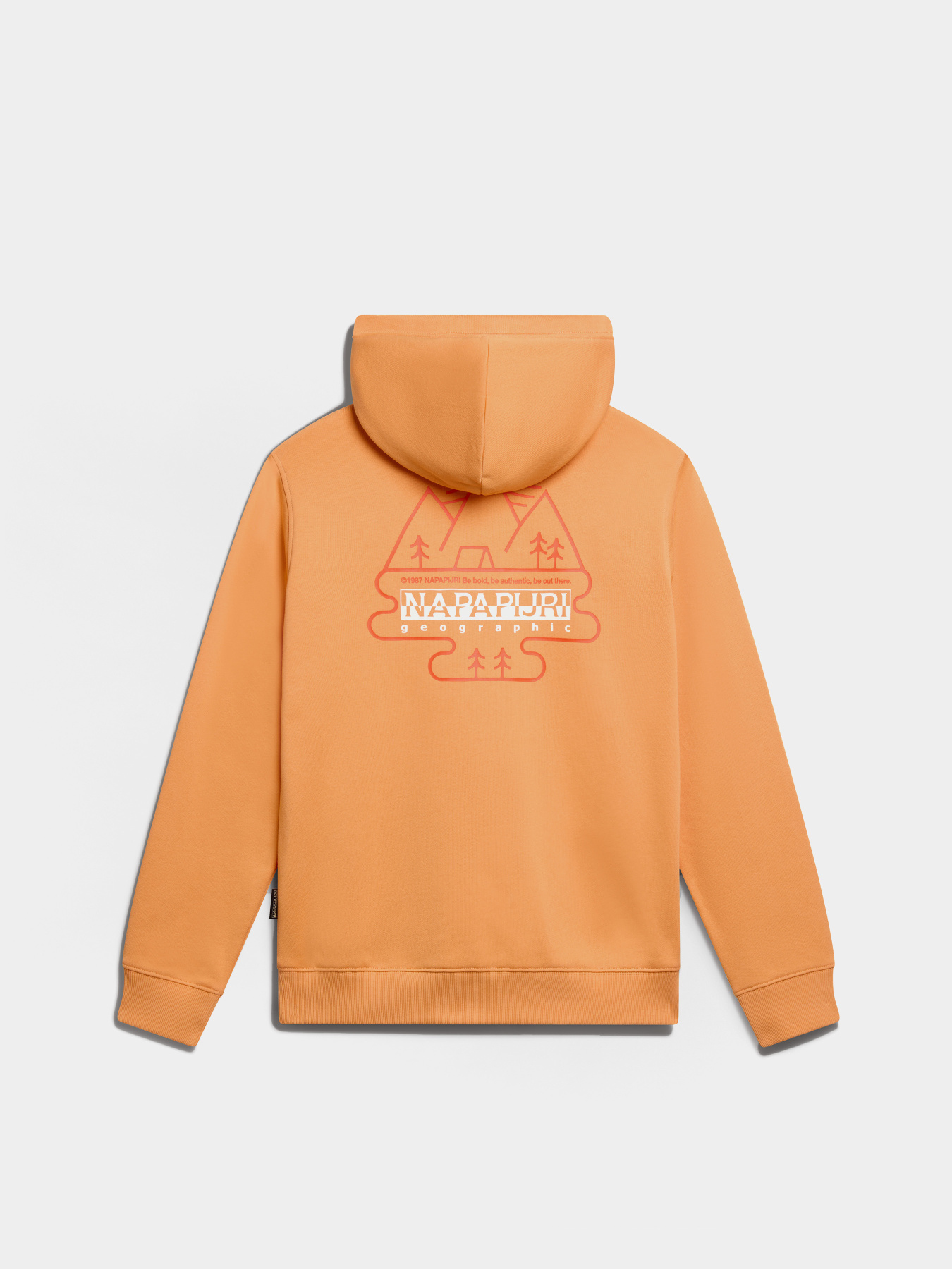 Худі Napapijri B-Faber модель NP0A4HO1A641 Худі Napapijri B-Faber модель NP0A4HO1A641 Фото