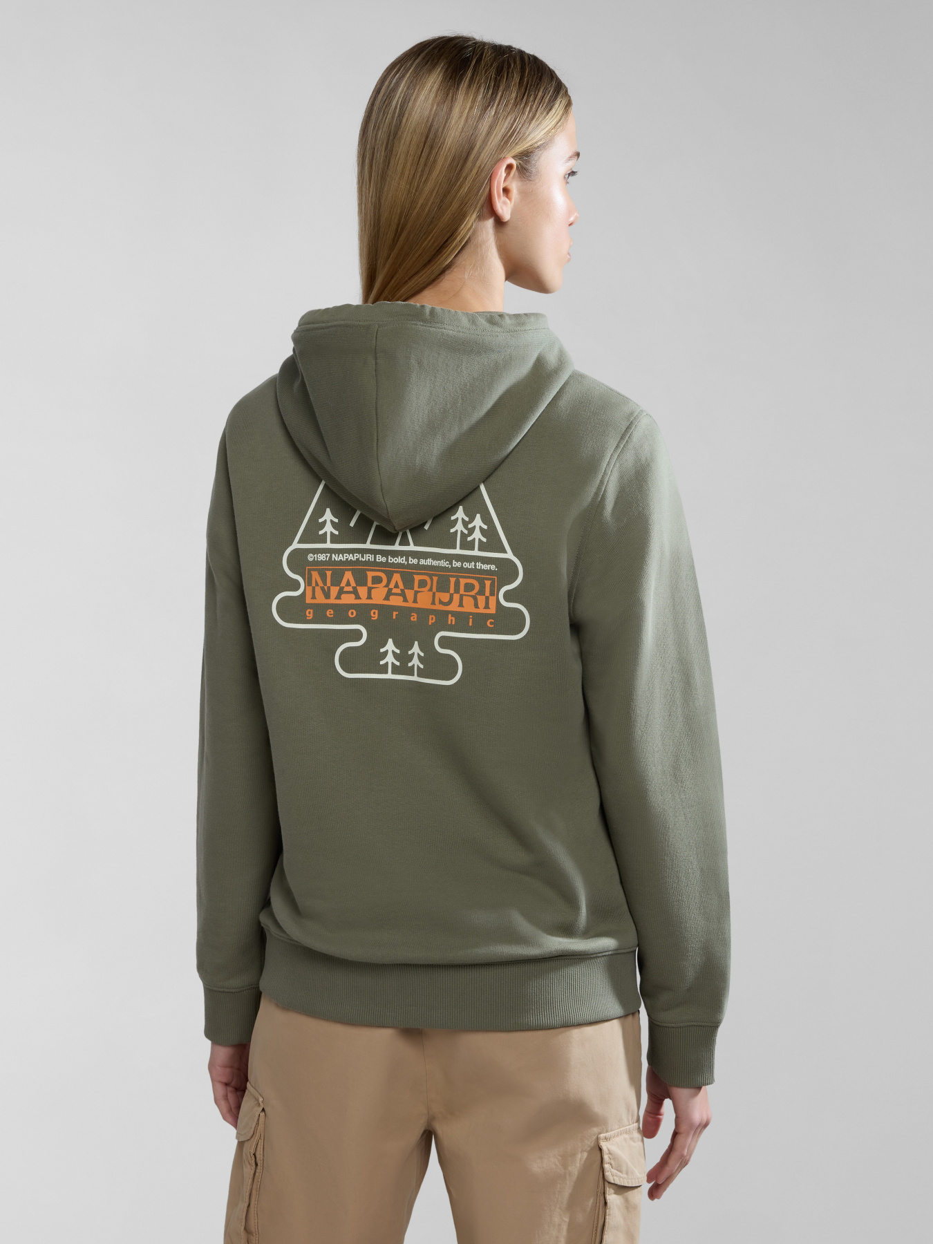 Худи Napapijri B-Faber модель NP0A4HO1GAE1 Фото