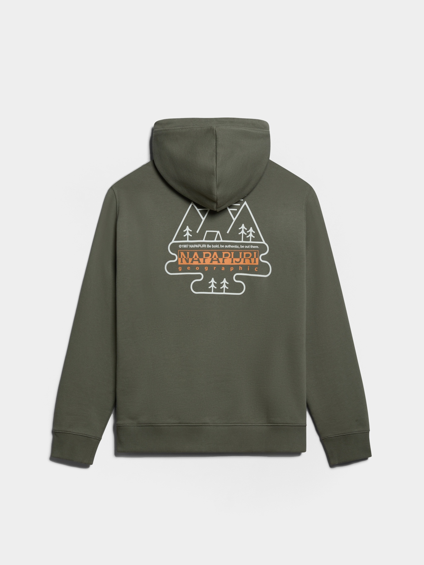 Худи Napapijri B-Faber модель NP0A4HO1GAE1 Фото